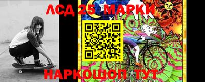 Альфа ПВП Анапа