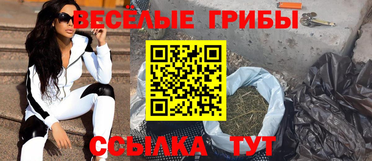Псилоцибиновые грибы MAGIC MUSHROOMS Новодвинск